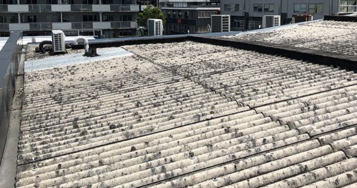 asbestos roof Auckland